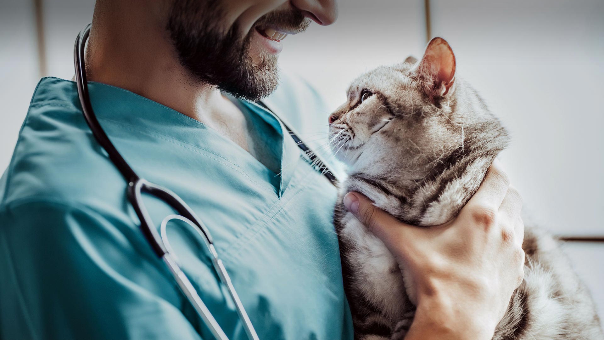 Sarıcakaya Veteriner